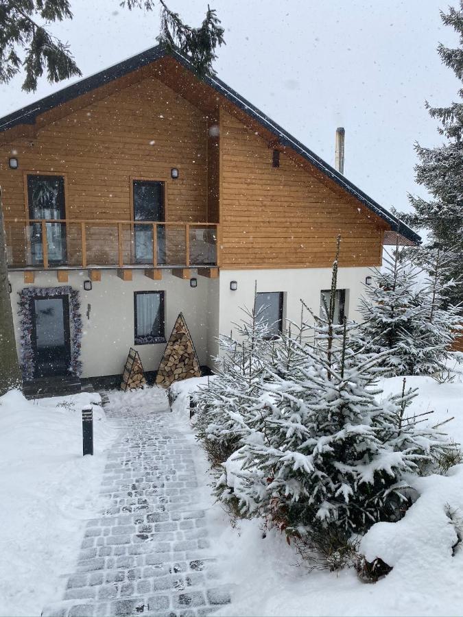 Gogodz Chalet Resort ยาบลูนิตซา ภายนอก รูปภาพ